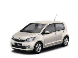 leaf-silver-stor